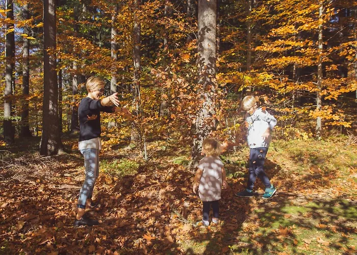 Drewniana Roza Domki Karkonosze