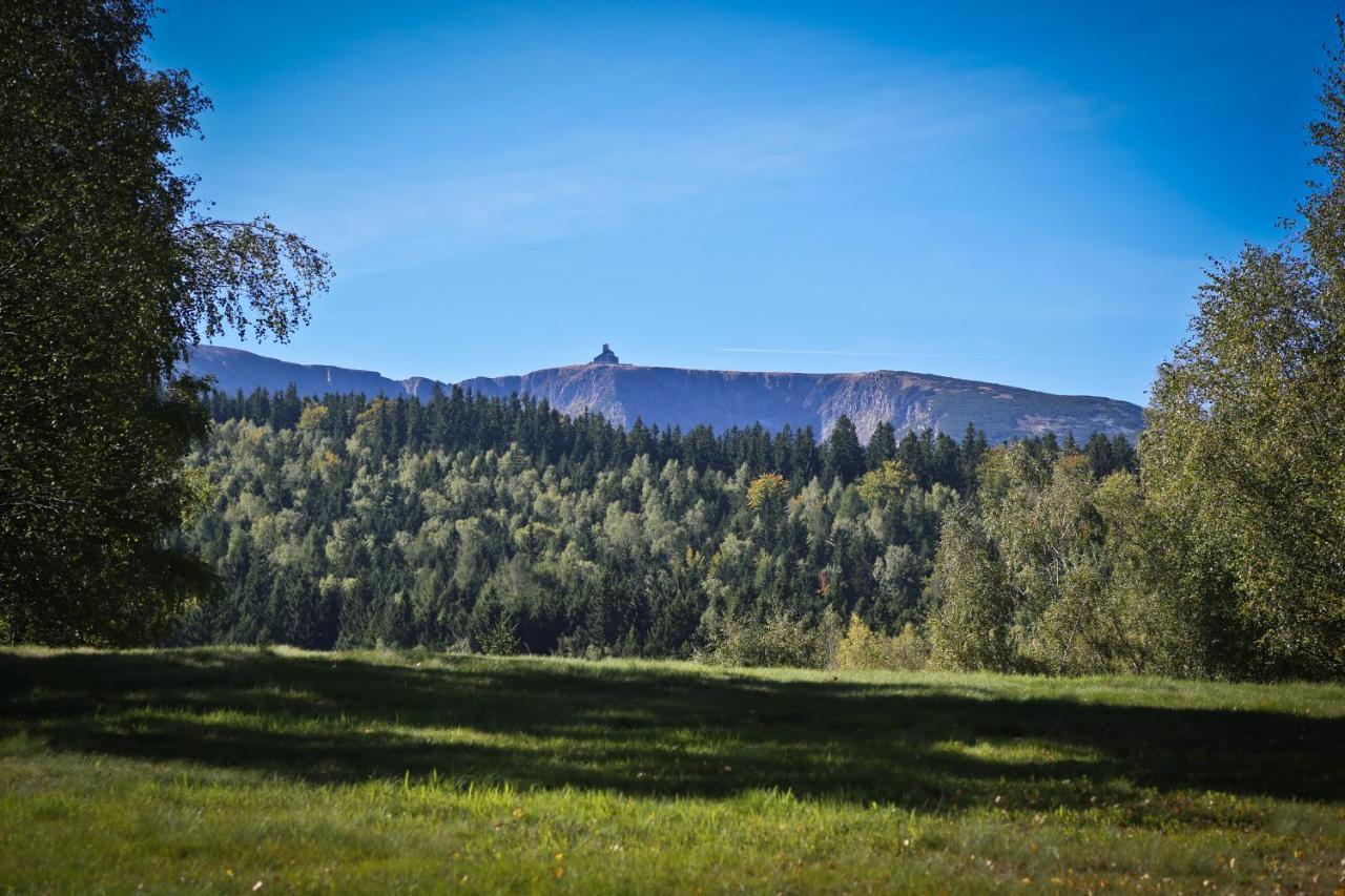 Drewniana Roza Karkonosze * Piechowice (Karkonosze)