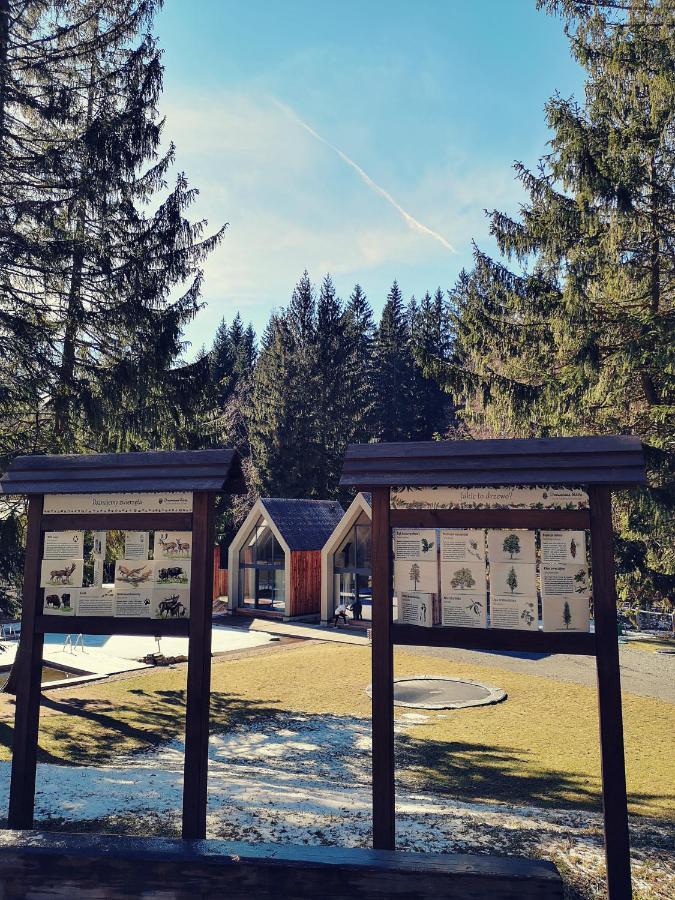 Drewniana Roza Karkonosze