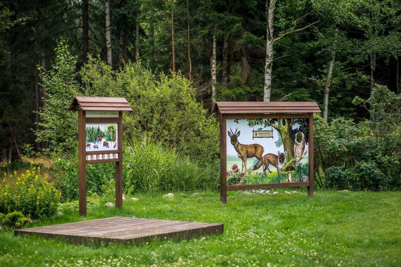 Prázdninový dům Drewniana Roza Karkonosze Piechowice (Karkonosze)